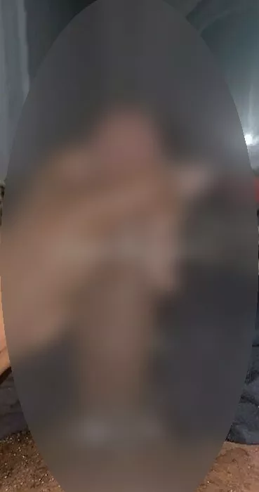escort.it - appena arrivata👉 la tua pornotrans🍃23Cm😍bella e carica👅🐽la tua vera porcellina la più bella e femminile 🔥a/p🔥foto reali....💋....tutta da gustare ,facc