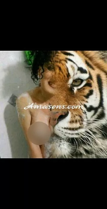 escort.it - Cubanissima trans