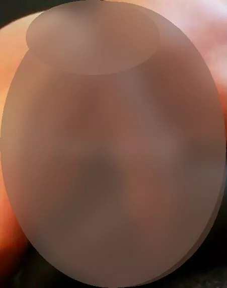 Foto di 3282490865