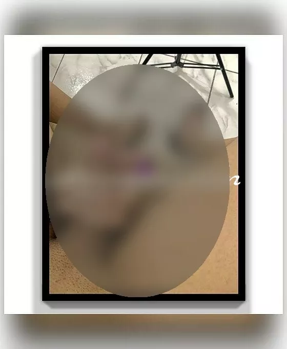 Foto di 3936562946