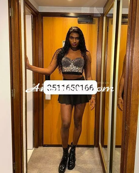 escort.it - NEW NEW SUPER TRANS🥳😋🐷⭐🍒TRASGRESSIVA, PORCA POMPINI DA URLO FINO ALLA FINE⭐ATTIVA E PASSIVA 💦