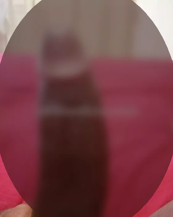 Foto di 3271466610