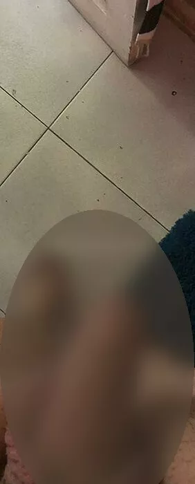 escort.it - Rafaela trans a viale di tor di quinto ponte milvio completa e molto brava e porca chiamami  non privato non anonimo