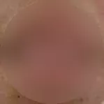 Foto di 3518934121