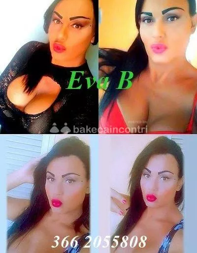 Foto di 3662055808