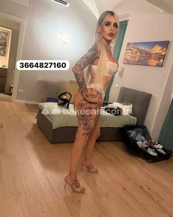 escort.it - A PRATI 🎀 ROSSANA BULGARI TRANS🎀NEW 🎀 BELLISSIMA ITALIANA ❤CORPO MOZZAFIATO NON DICO MAI NO 🎀VERA TRASGRESSIONE
