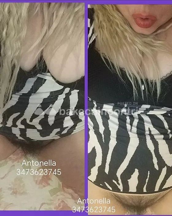 Foto di 3473623745