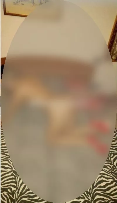 Foto di 3447785083