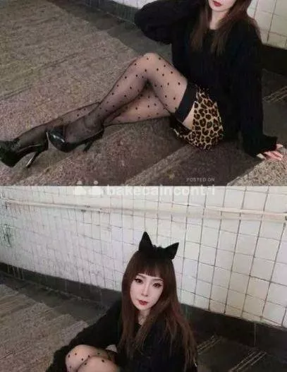 escort.it - ATTENZIONE OGGI NUOVA.ARRIVATA IN ZONA MASSAGGIATRICE ORIENTALE GIOVANE CURVE.ANCHE LA MIA AMICA .