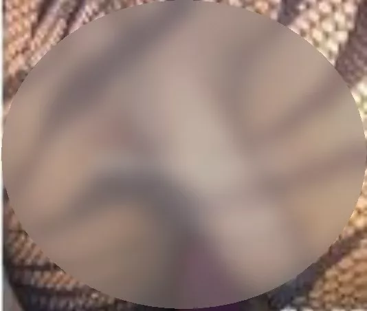 Foto di 3751094958