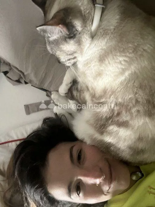 Foto di 3445792444