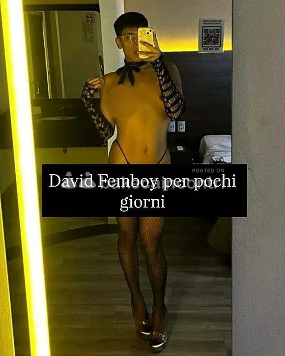 Foto di 3341308881