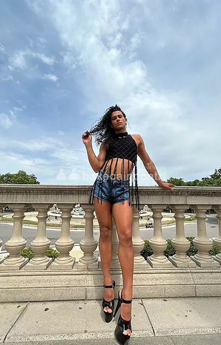 Foto di 3499316245