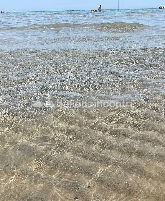 Foto di 3270710010