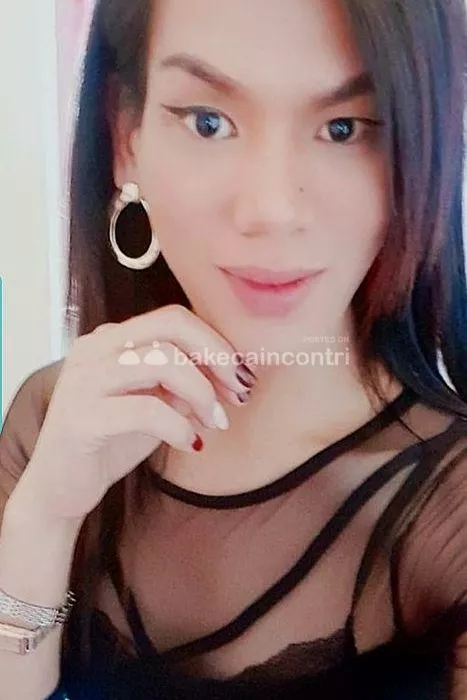 escort.it - IN TOUR 💚💚💚 👉A CIVITANOVA 👈TRANS THAI S BELLA GUSTOSA CALOROSA ATTIVA PASSIVA❤️💚💚🍆🍆💦POSTO PULITO TRANQUILLO RISERVATO FOTO REALI🤝😘😘