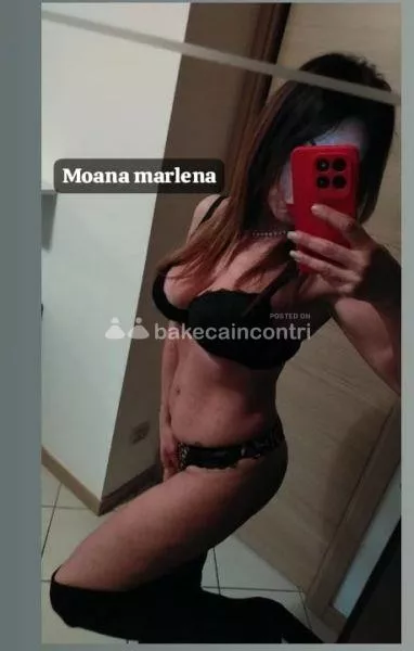 Foto di 3896391655