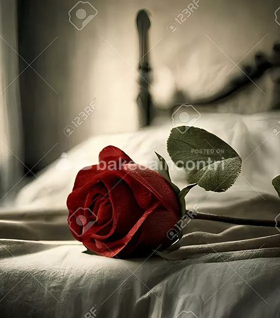 Foto di 3208894394