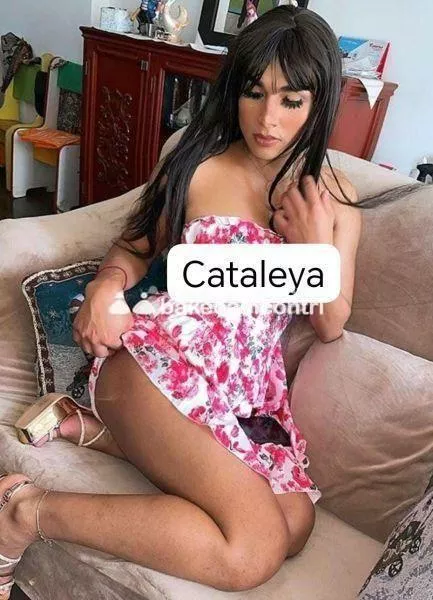 Foto di 3381772021
