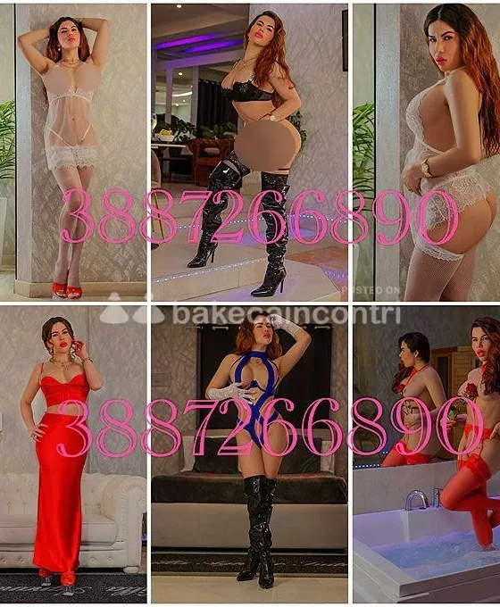 Foto di 3887266890