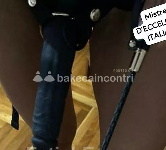 Foto di 3520740842