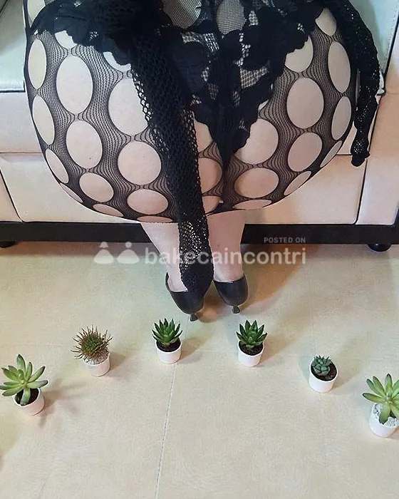 escort.it - LUNA BELLISSIMA DONNA DI CLASSE ITALIANA PER VIVERE AL MEGLIO UN RELAX ALTAMENTE EROTICO E SENZA FRETTA