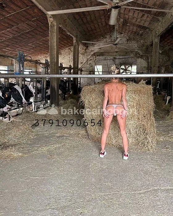 Foto di 3881757082