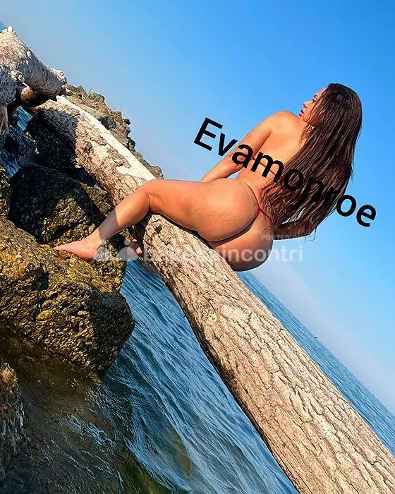 Foto di 3512835670