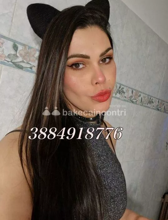 escort.it - NEW A SIENA - Per pochi giorni!! RACHELE TRANS (Foto 💯x💯 reale, recenti e amatoriali) 💞 sarò tutta per te!