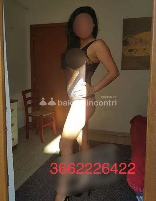 escort.it - 🔥New...🔥  AMBRA bellissima, Foto 💯x💯 reali e recenti! Per pochi giorni....