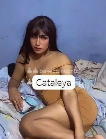 escort.it - NEW NEW AD AOSTA 💎 CATALEYA REGINA DEL SESSO 💎 FACCIO DI TUTTO 💎 GOLA PROFONDA 💎 SBORRAMI IN FACCIA 💎 ATTIVA E PASSIVA 💎