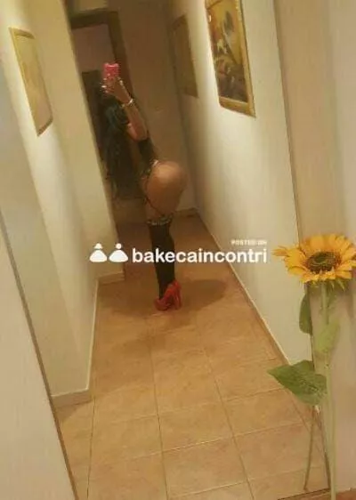 Foto di 3512264487