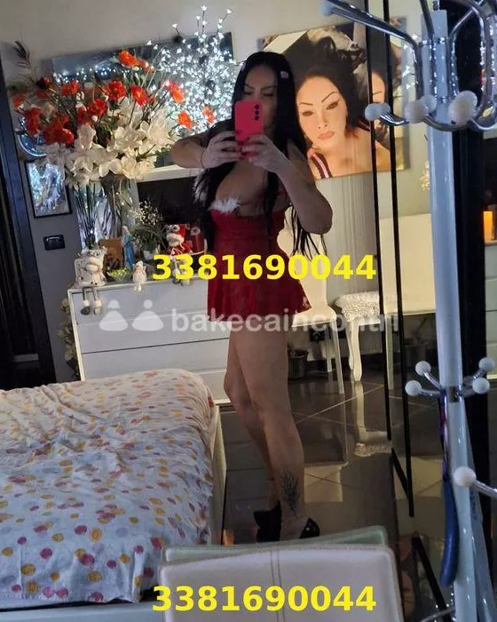 Foto di 3381690044