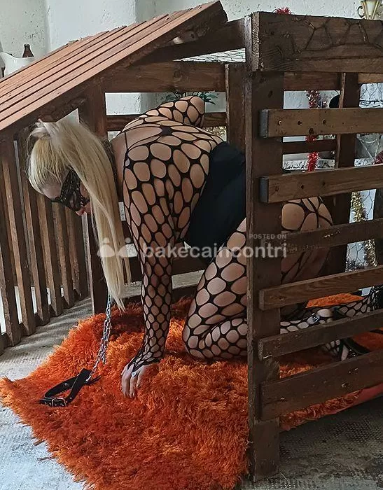 Foto di 3927105135