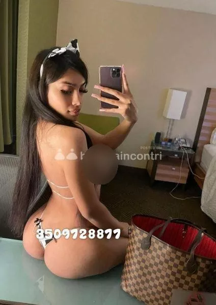 escort.it - NUOVA ARRIVATA💋 🌷MILENA TRANS 🌷💋BELLISSIMA ATTIVA E PASSIVA🍑🔥😈❗MOLTO CALDA❗SENZA FRETTA 24SU24