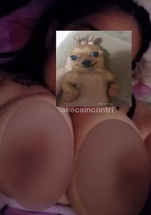Foto di 3920374594