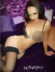 escort.it - PARMA ZONA VIA PARADIGNA 😈😈Divina Trans... bastone stupendo e quando me lo ciucci spruzzo tutto da farti la doccia