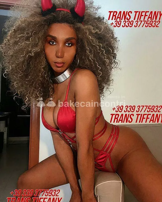 Foto di 3393775932