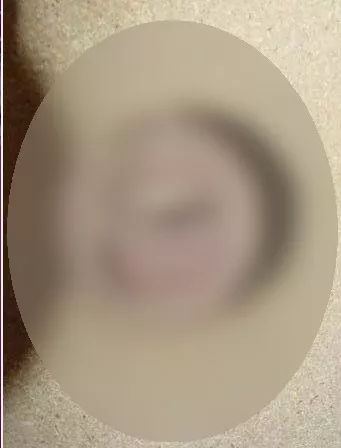 Foto di 3791959882