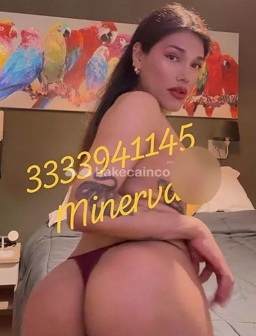 Foto di 3333941145