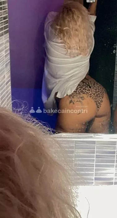 escort.it - 🇮🇹!!RICEVO SOLO ITALIANI!!🇮🇹 Vuoi rilassarti con un bel sexy massaggio e non solo per poi godere con una ragazza italiana?