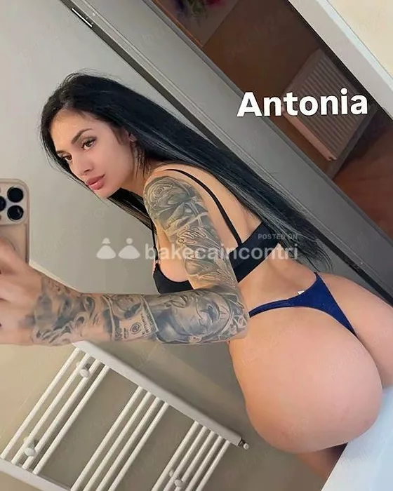 Foto di 3295566616