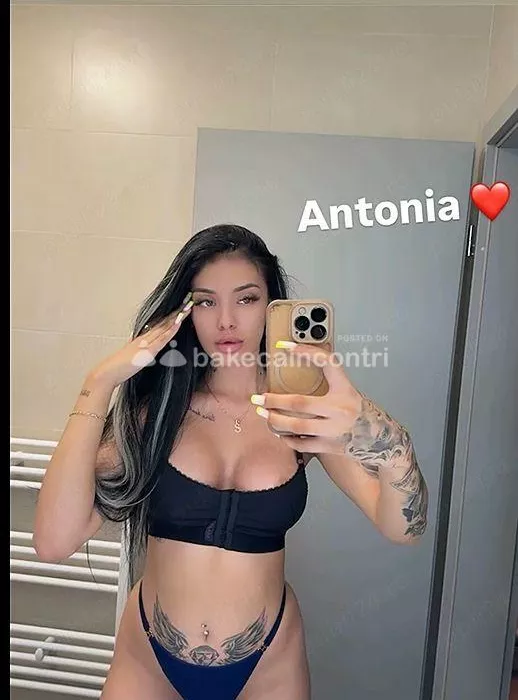 Foto di 3295566616