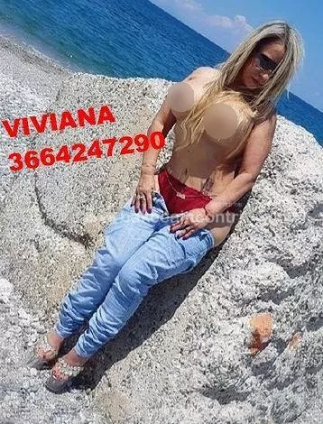Foto di 3664247290