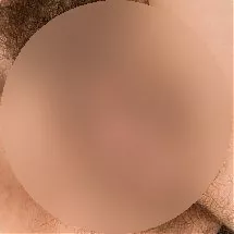 Foto di 3453306046