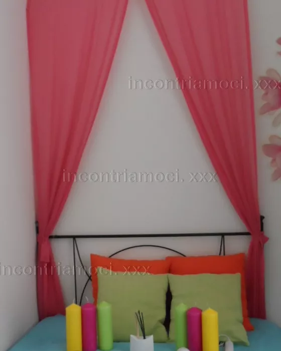 Foto di 3383359151