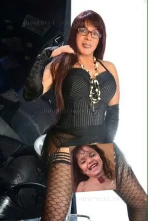 Foto di 3341768068