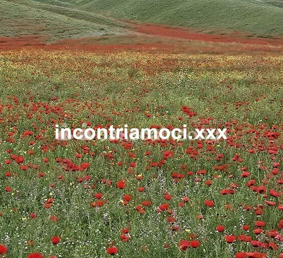 Foto di 3508216988