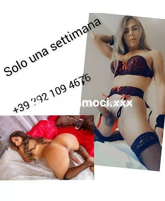 Foto di 3921094676