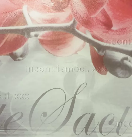Foto di 3922563057