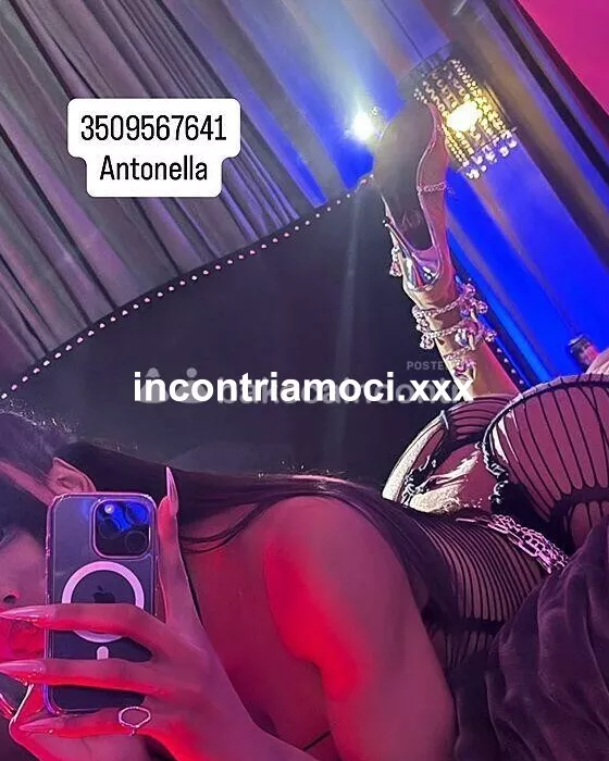Foto di 3509567641